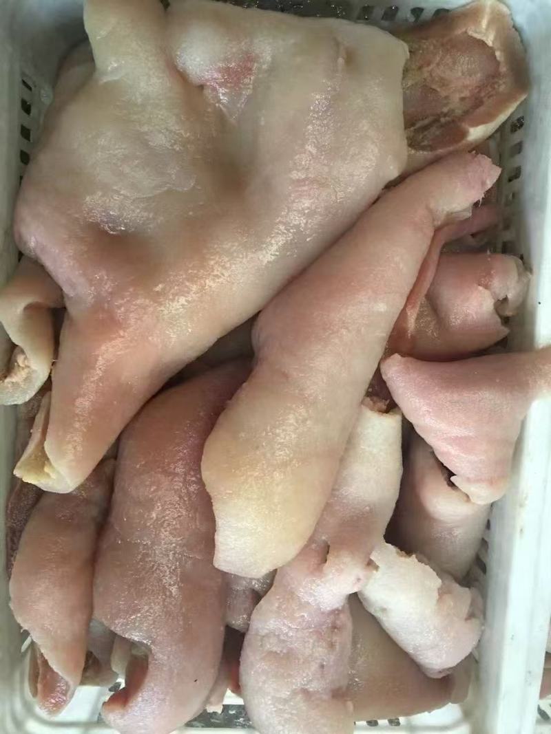 牛皮筋