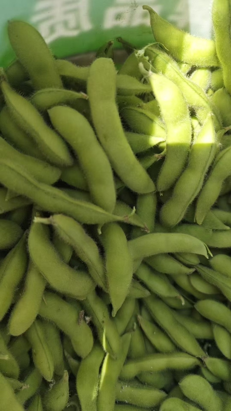 江苏徐州邳州河南商丘精品毛豆欢迎，市场，超市，电商合作
