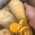 黄心土豆批发一件代发对接市场档口商超价格可谈