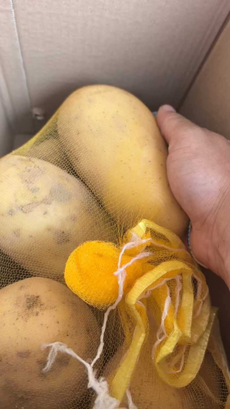 黄心土豆批发一件代发对接市场档口商超价格可谈