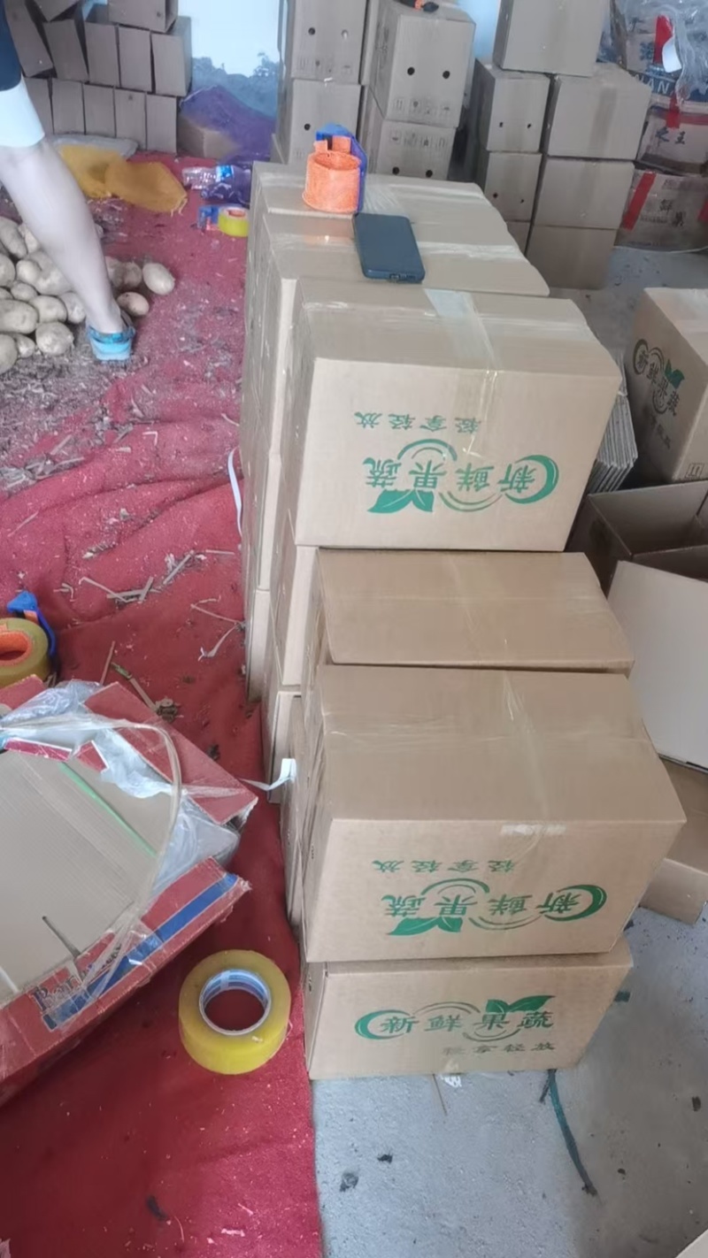 黄心土豆批发一件代发对接市场档口商超价格可谈