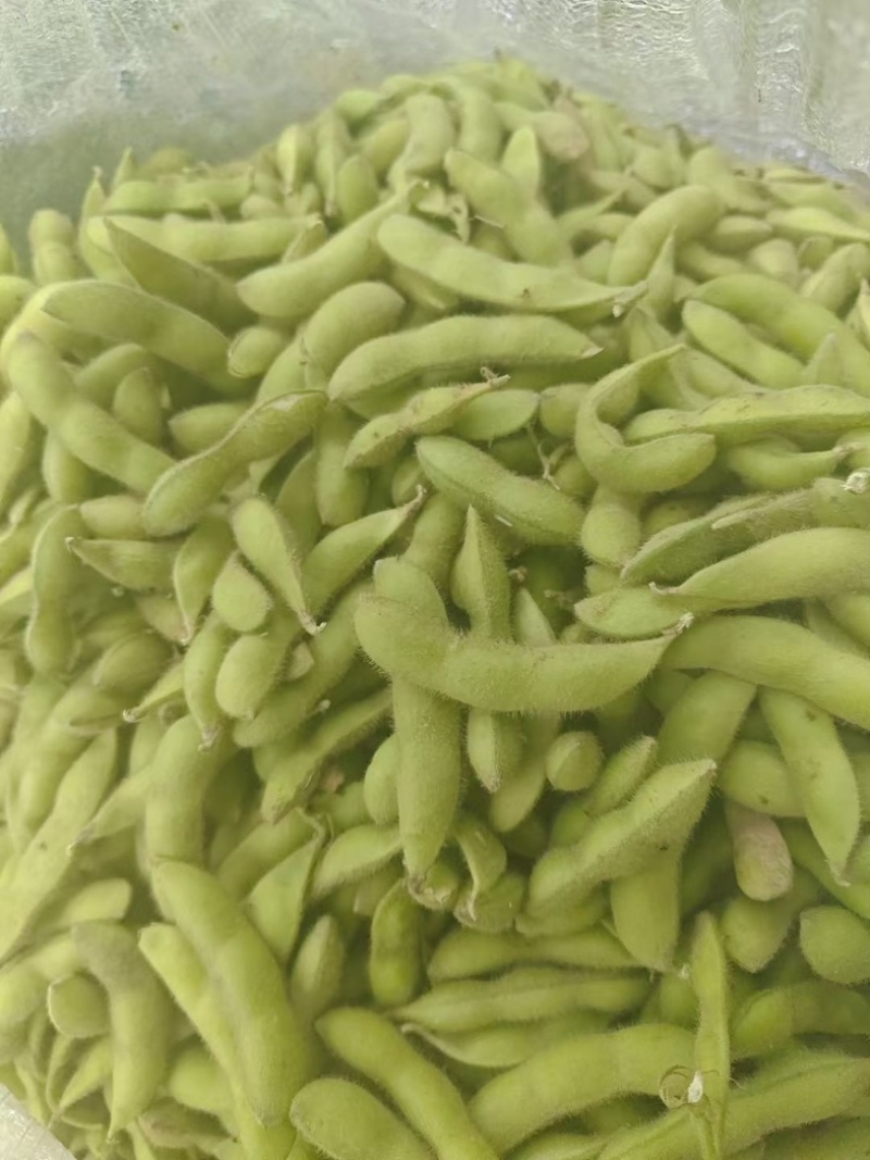 江苏徐州邳州河南商丘精品毛豆，欢迎，市场超市，电商合作