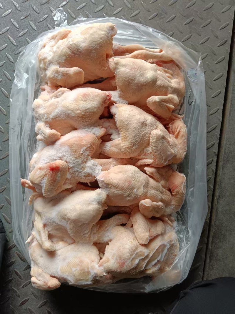 一级三黄鸡