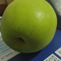 苏翠一号梨酥梨大量上市品质保证量大从优一手货源