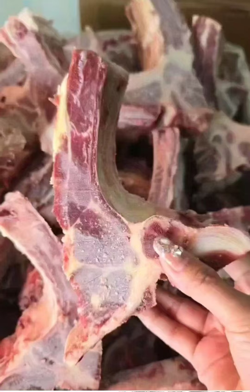 肋眼骨
