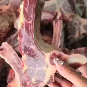 肋眼骨