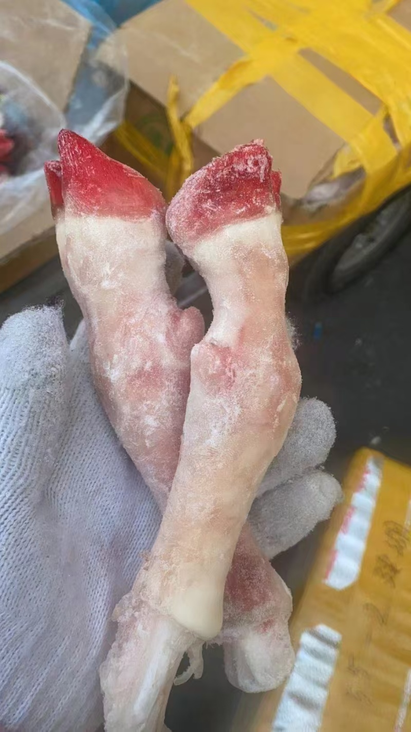 纯干羊蹄