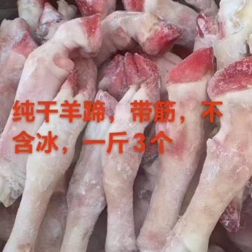 纯干羊蹄