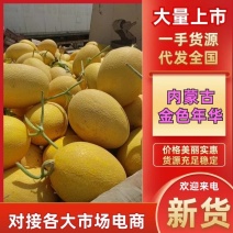 内蒙古哈密瓜2-4公斤全国可发南方市场以及出口畅销15个糖