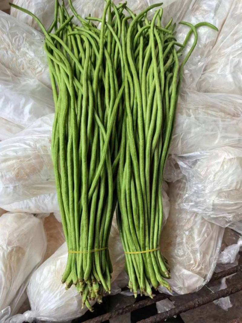 欢迎来电豆角豇豆角/云南红河/现货/批发~电商~商超