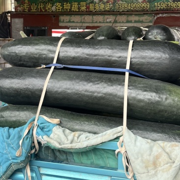 黑皮地冬瓜