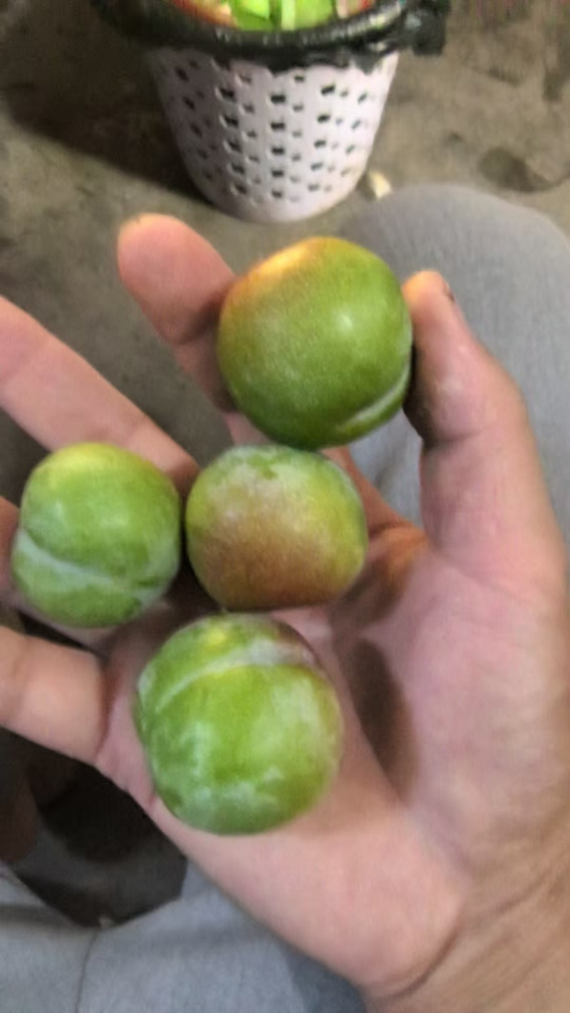 半边红市场货。电商货。贸易货大量供应。需要的老板联系。