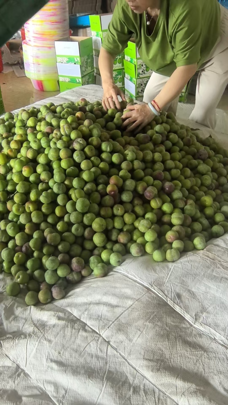 半边红市场货。电商货。贸易货大量供应。需要的老板联系。