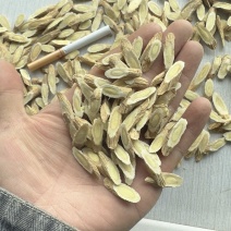 甘肃岷县本地黄芪片质量无忧安心选购欢迎来电咨询