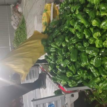 精品太空椒