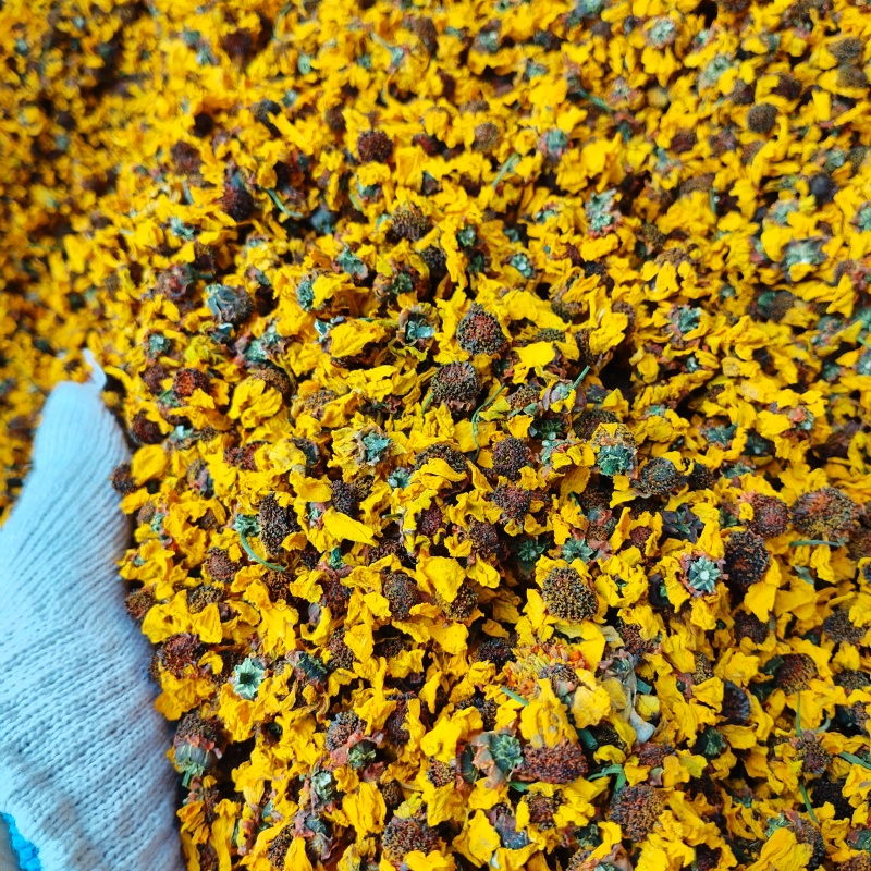 新疆喀什雪菊25年新货散装泡茶泡水料包邮批发