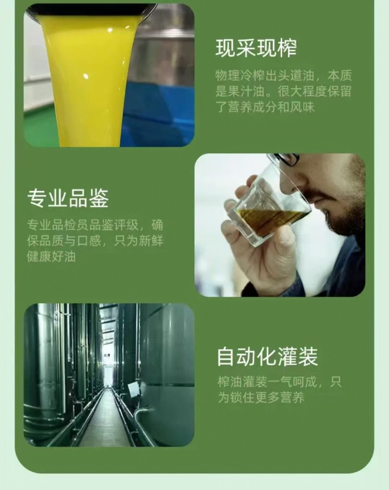 甘肃一手货源橄榄油对接全国市场清香可口正在热卖中
