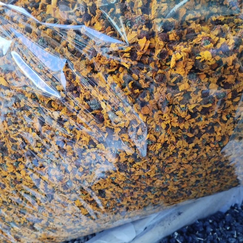 新疆喀什雪菊25年新货散装泡茶泡水料包邮批发