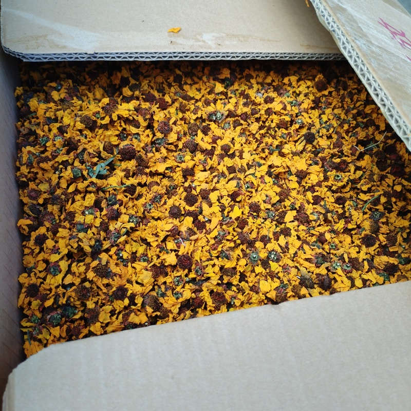 新疆喀什雪菊25年新货散装泡茶泡水料包邮批发