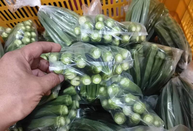 水果秋葵基地直发