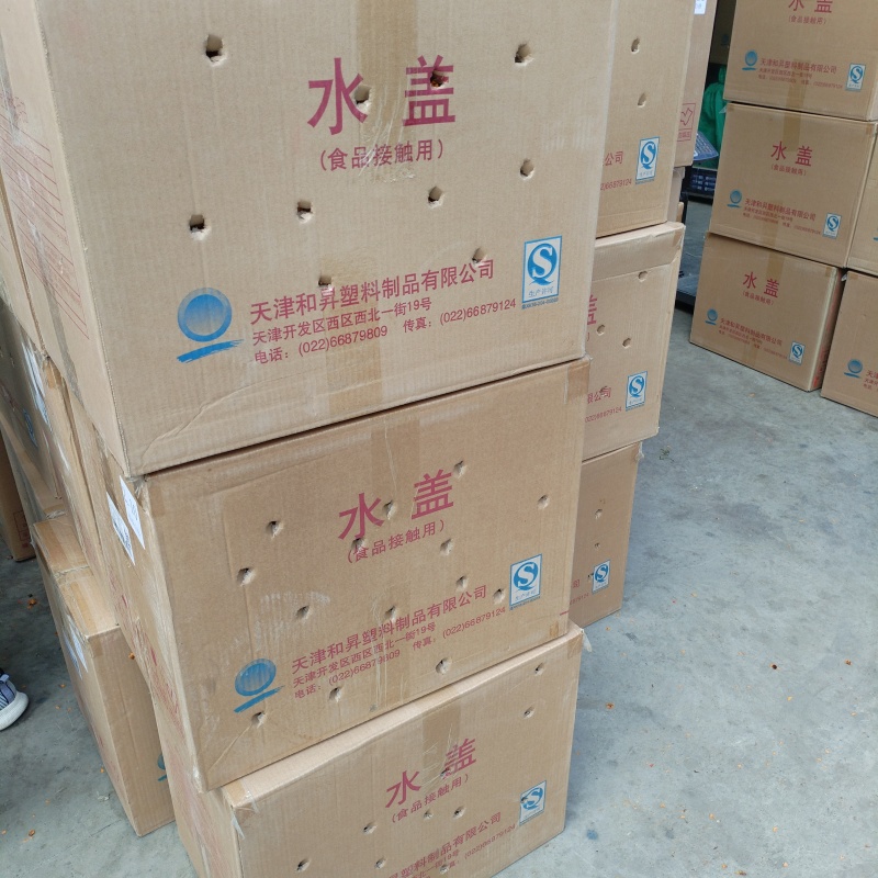 新疆喀什雪菊25年新货散装泡茶泡水料包邮批发