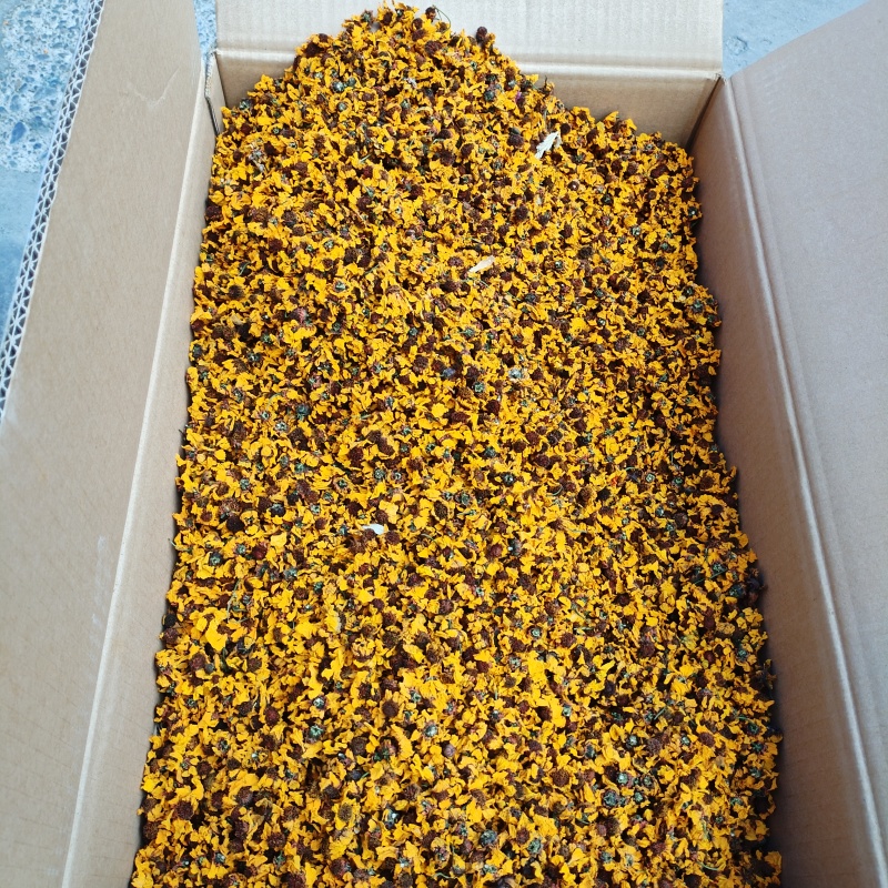 新疆喀什雪菊25年新货散装泡茶泡水料包邮批发