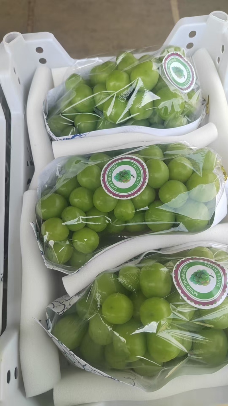 阳光玫瑰大量上市一手货源新鲜供应价格可谈