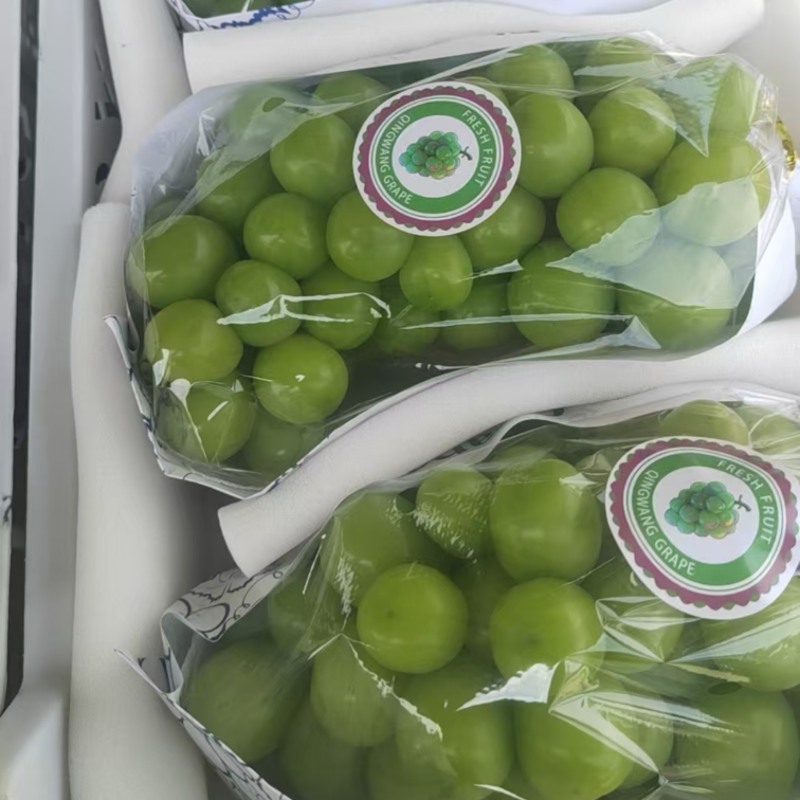 阳光玫瑰大量上市一手货源新鲜供应价格可谈