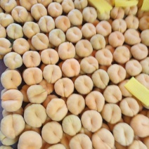 黄蟠桃基地直发量大从优物美价廉