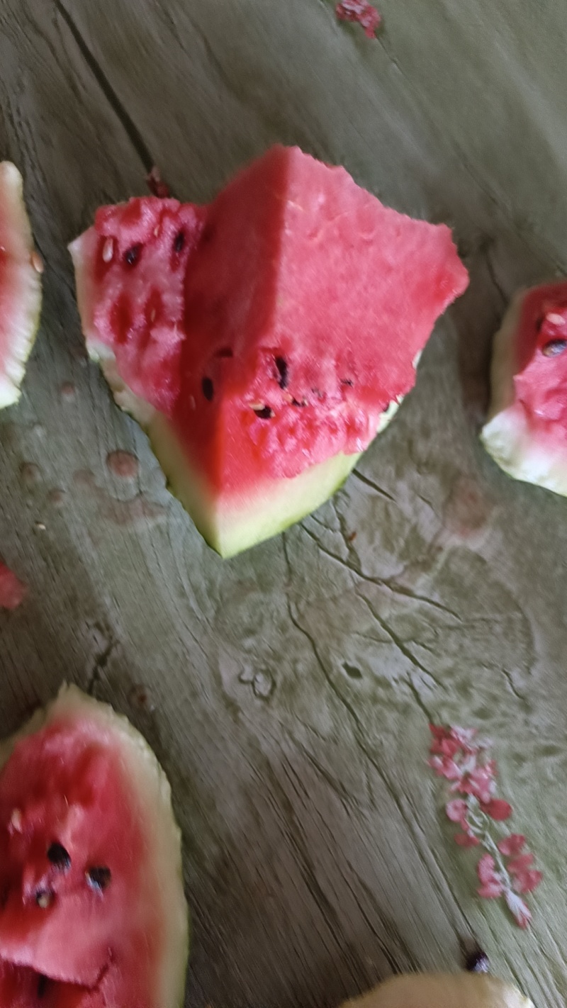 河南开封有籽美都西瓜，货源充足，供应商超
