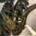 鲶鱼