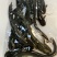 鲶鱼