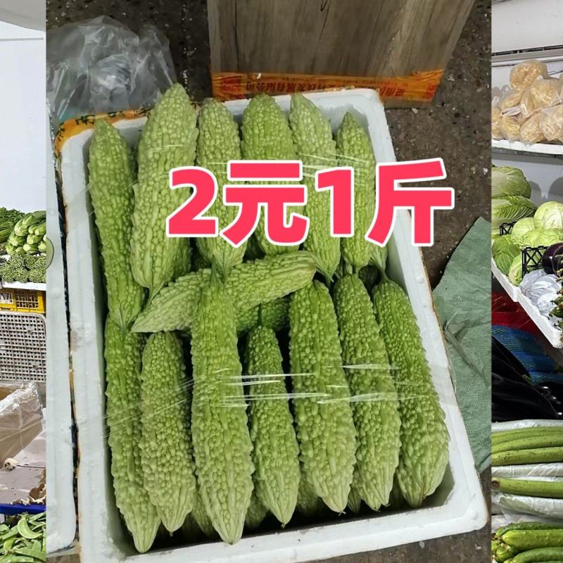 白玉苦瓜