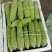 白玉苦瓜