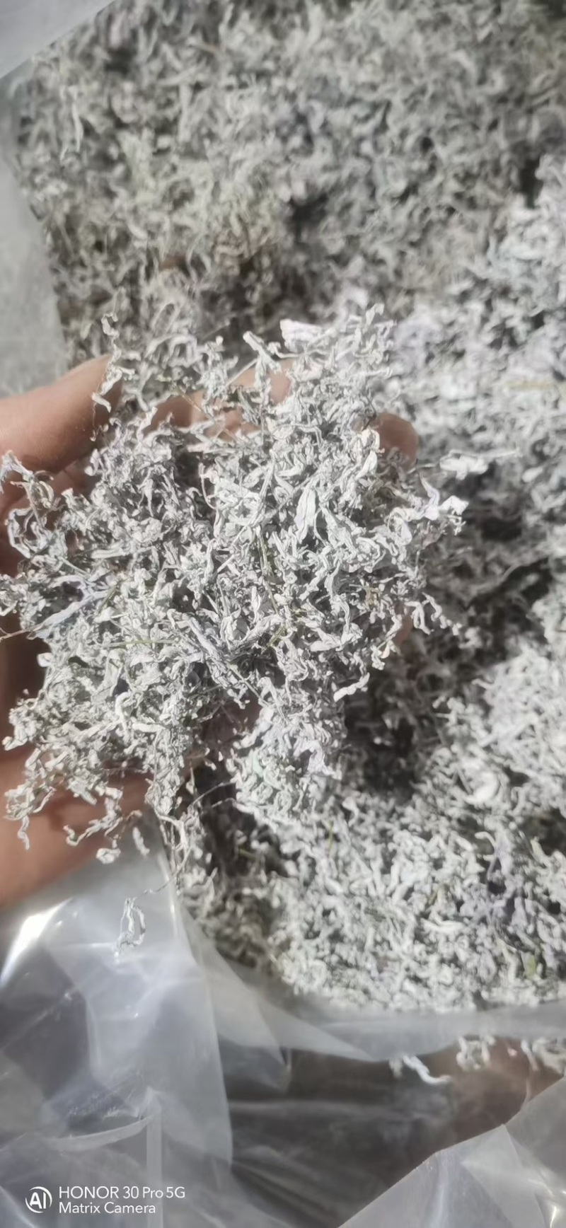 野生藤茶莓茶
