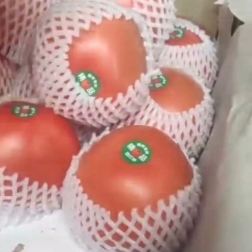 西红柿精品，新货1.3上车