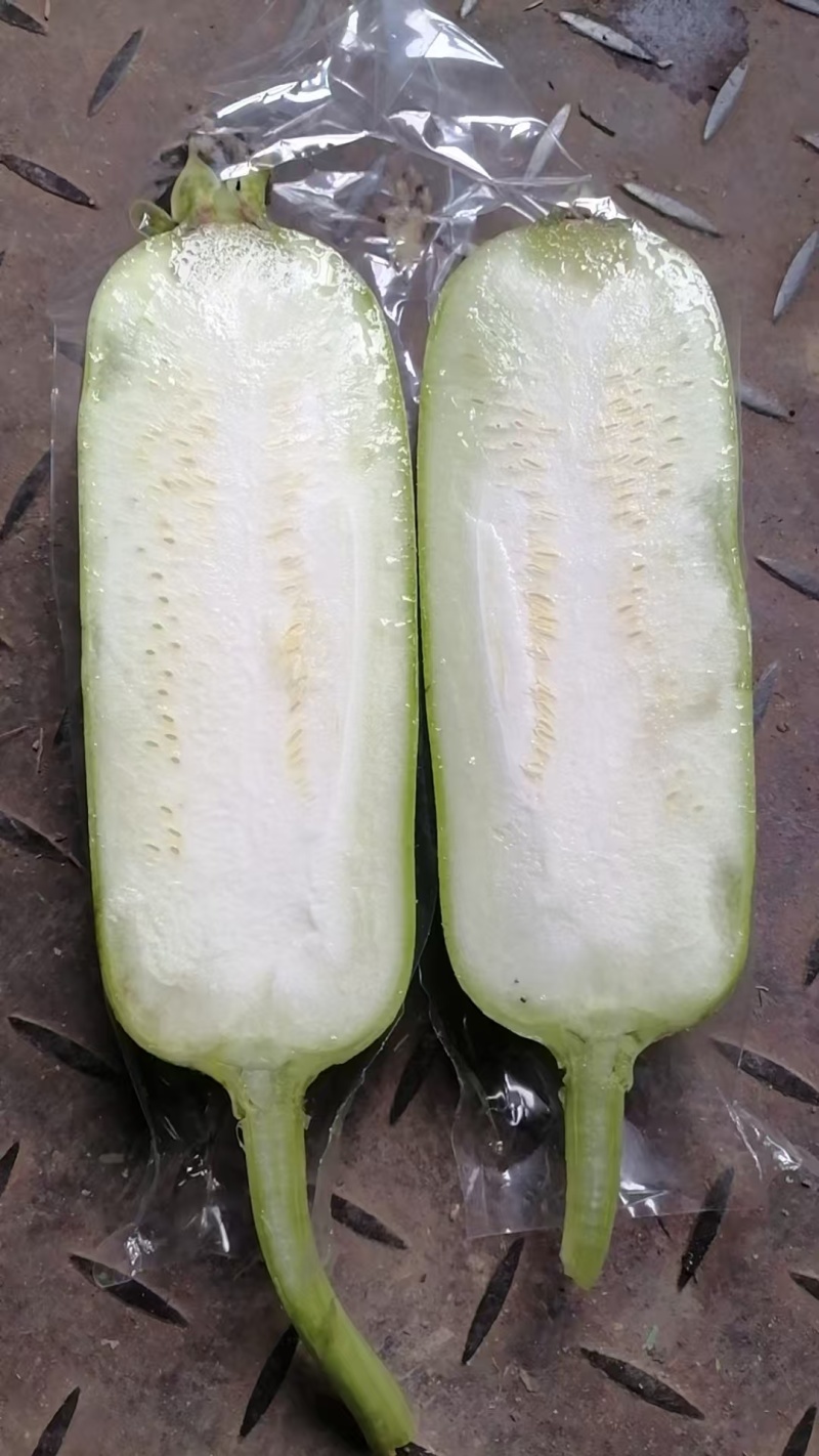 白玉丝瓜