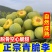 巫溪酒泉脆李