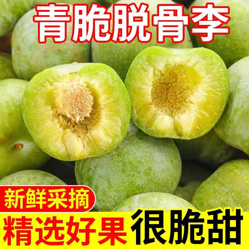 巫溪酒泉脆李