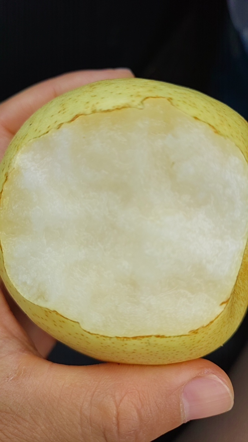 翠冠梨口感甜，细嫩化渣，个头大