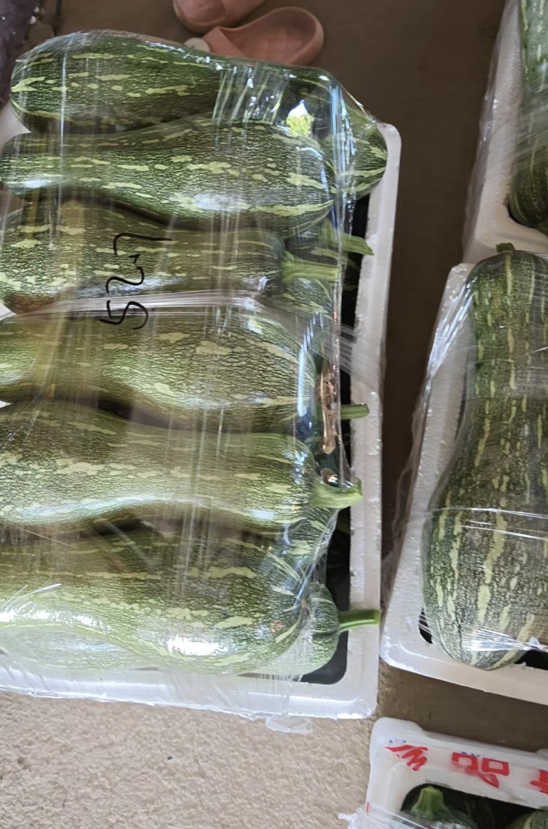 南瓜，蜜本南瓜，江苏江阴市南瓜，蜜本南瓜质量保证