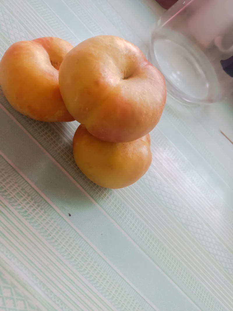 高山脆甜油蟠九