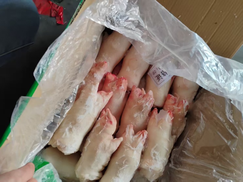 一级前蹄