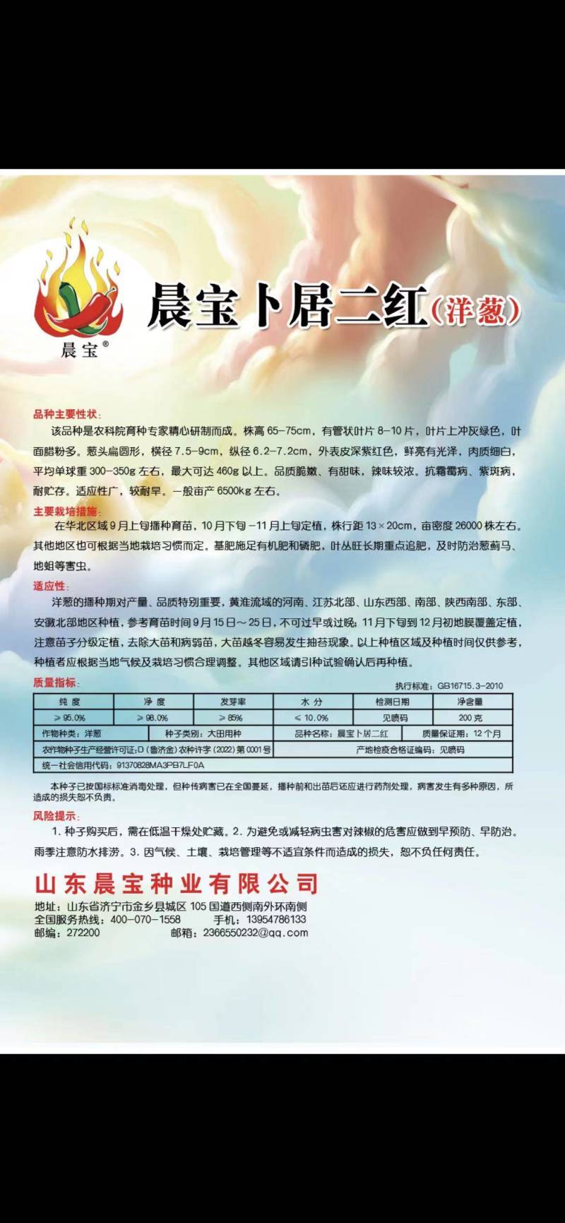 二红洋葱种子晨宝卜居红洋葱种子，紫红皮洋葱，包回收