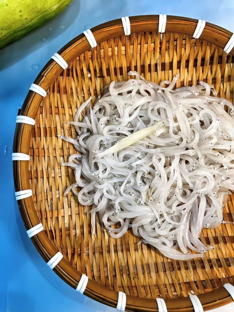 小银鱼