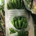 可装条，可装箱，7把，摘花垫把
