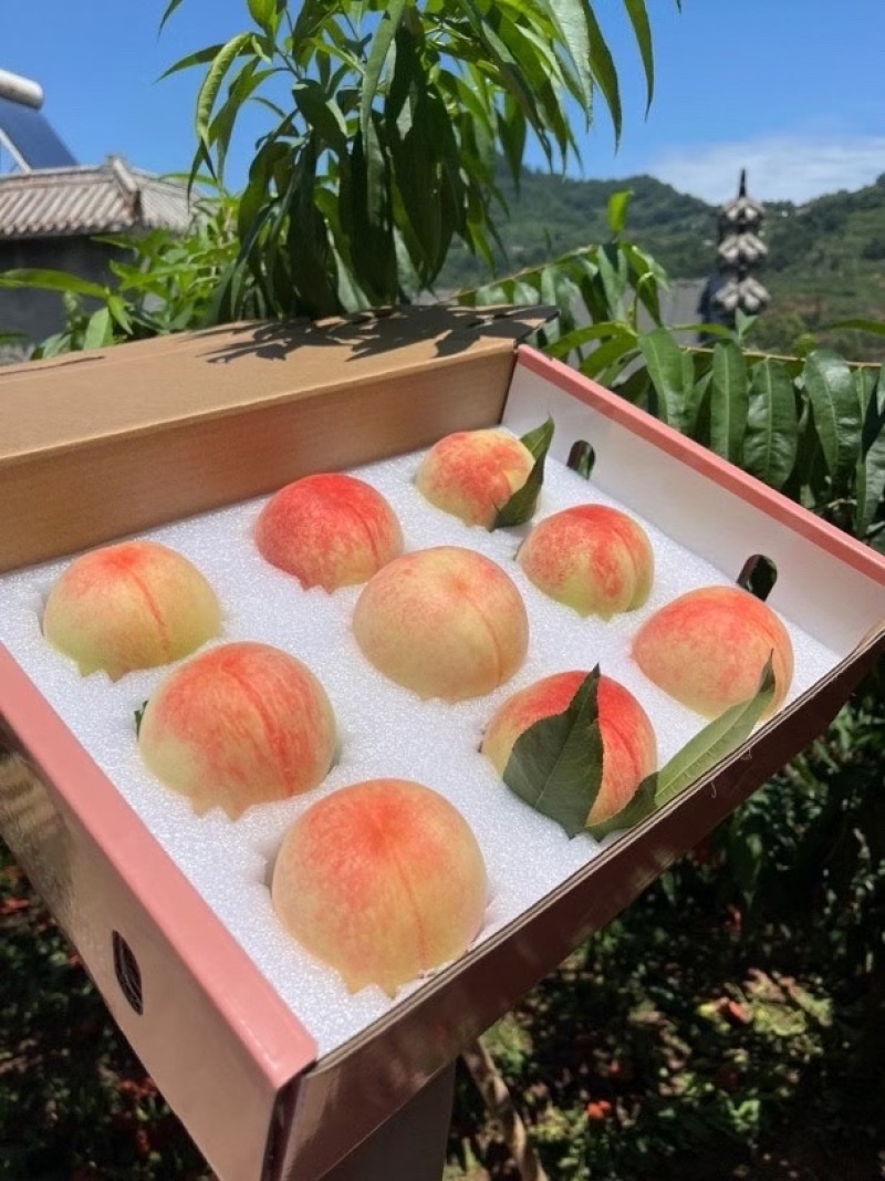 正宗龙泉水蜜桃，小白凤，夏之梦，白桃，晚湖景