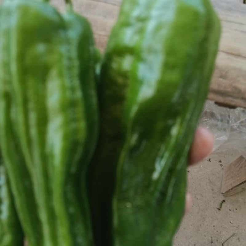 芜湖椒青椒薄皮椒鲜辣椒辣椒大量供应全国发货