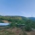 黑鸡\散养黑鸡\莱芜黑鸡\山东济南长清区散养山鸡全国供货