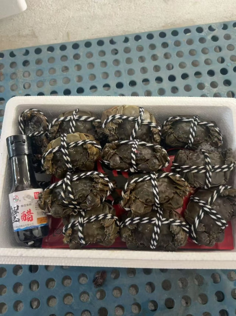 六月黄大闸蟹口感鲜甜肉多饱满大量有货价格实惠